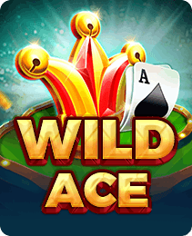 Wild Ace — slots game in the IN7 Game app